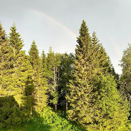 Søre Osen ørbekken Torberget