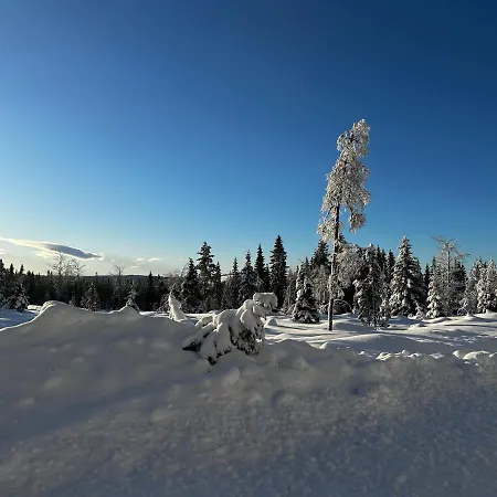 Sore Osen Orbekken Σπίτι διακοπών