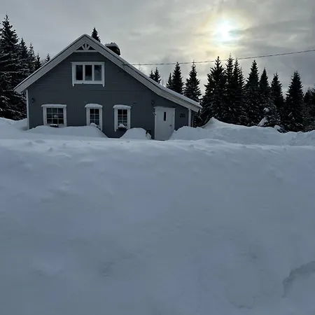 Sore Osen Orbekken Casa vacanze Torberget