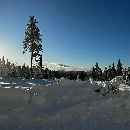 בית נופש Sore Osen Orbekken